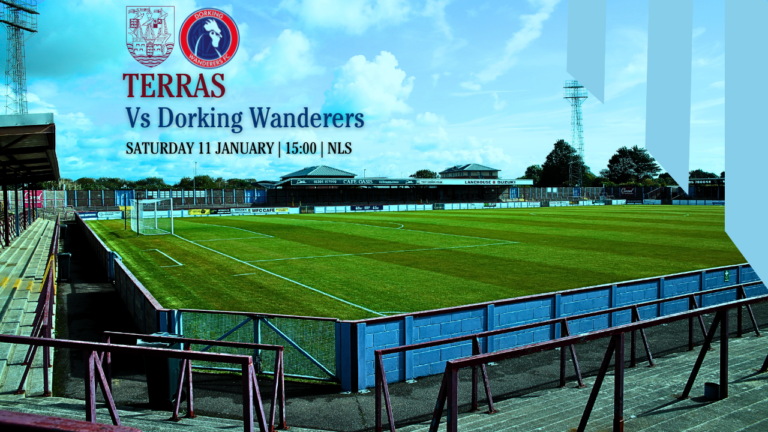 Preview: Dorking Wanderers (H)